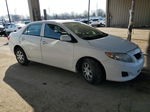 2010 Toyota Corolla Base Белый vin: 2T1BU4EE8AC282324