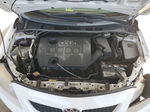 2010 Toyota Corolla Base Белый vin: 2T1BU4EE8AC282324