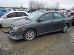 2010 Toyota Corolla Base Gray vin: 2T1BU4EE8AC430598