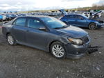 2010 Toyota Corolla Base Gray vin: 2T1BU4EE8AC430598