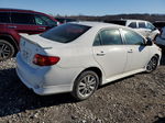 2010 Toyota Corolla Base Белый vin: 2T1BU4EE8AC468543