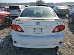 2010 Toyota Corolla Base Белый vin: 2T1BU4EE8AC468543