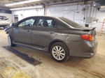 2010 Toyota Corolla Base Серый vin: 2T1BU4EE8AC473466