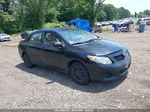 2010 Toyota Corolla Le Black vin: 2T1BU4EE9AC346113