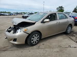 2010 Toyota Corolla Base Желто-коричневый vin: 2T1BU4EE9AC364353