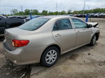 2010 Toyota Corolla Base Tan vin: 2T1BU4EE9AC364353