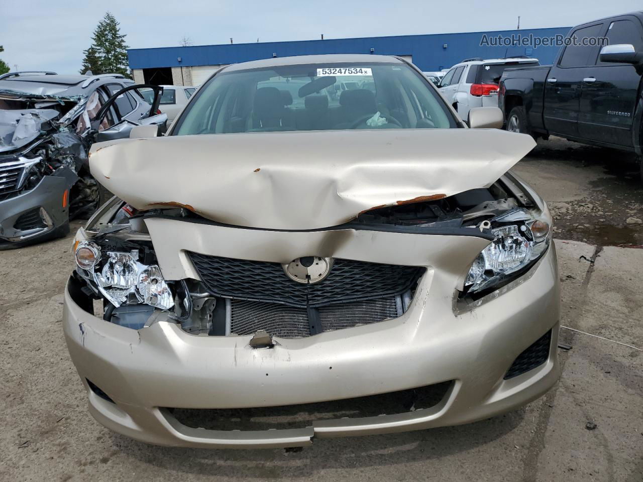 2010 Toyota Corolla Base Tan vin: 2T1BU4EE9AC364353