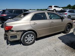 2010 Toyota Corolla Base Gold vin: 2T1BU4EE9AC406052