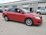 2010 Toyota Corolla Base Red vin: 2T1BU4EE9AC487764