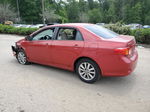 2010 Toyota Corolla Base Red vin: 2T1BU4EE9AC487764