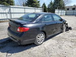 2010 Toyota Corolla Base Black vin: 2T1BU4EE9AC508371