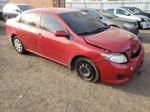 2010 Toyota Corolla Base Red vin: 2T1BU4EEXAC207477