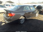 2010 Toyota Corolla S Черный vin: 2T1BU4EEXAC312374