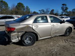 2010 Toyota Corolla Base Gold vin: 2T1BU4EEXAC356259