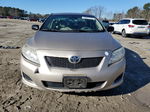 2010 Toyota Corolla Base Золотой vin: 2T1BU4EEXAC356259