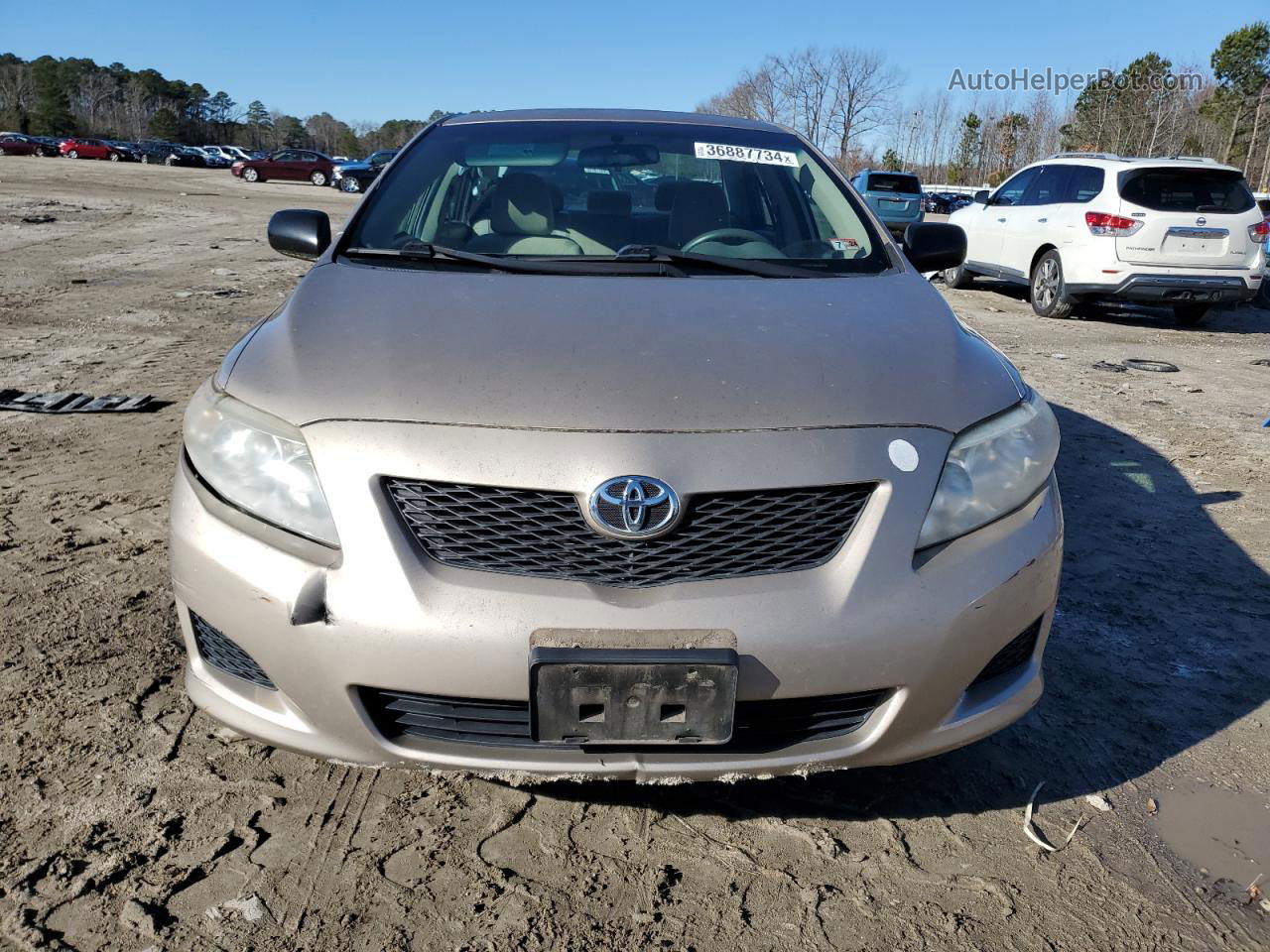 2010 Toyota Corolla Base Gold vin: 2T1BU4EEXAC356259