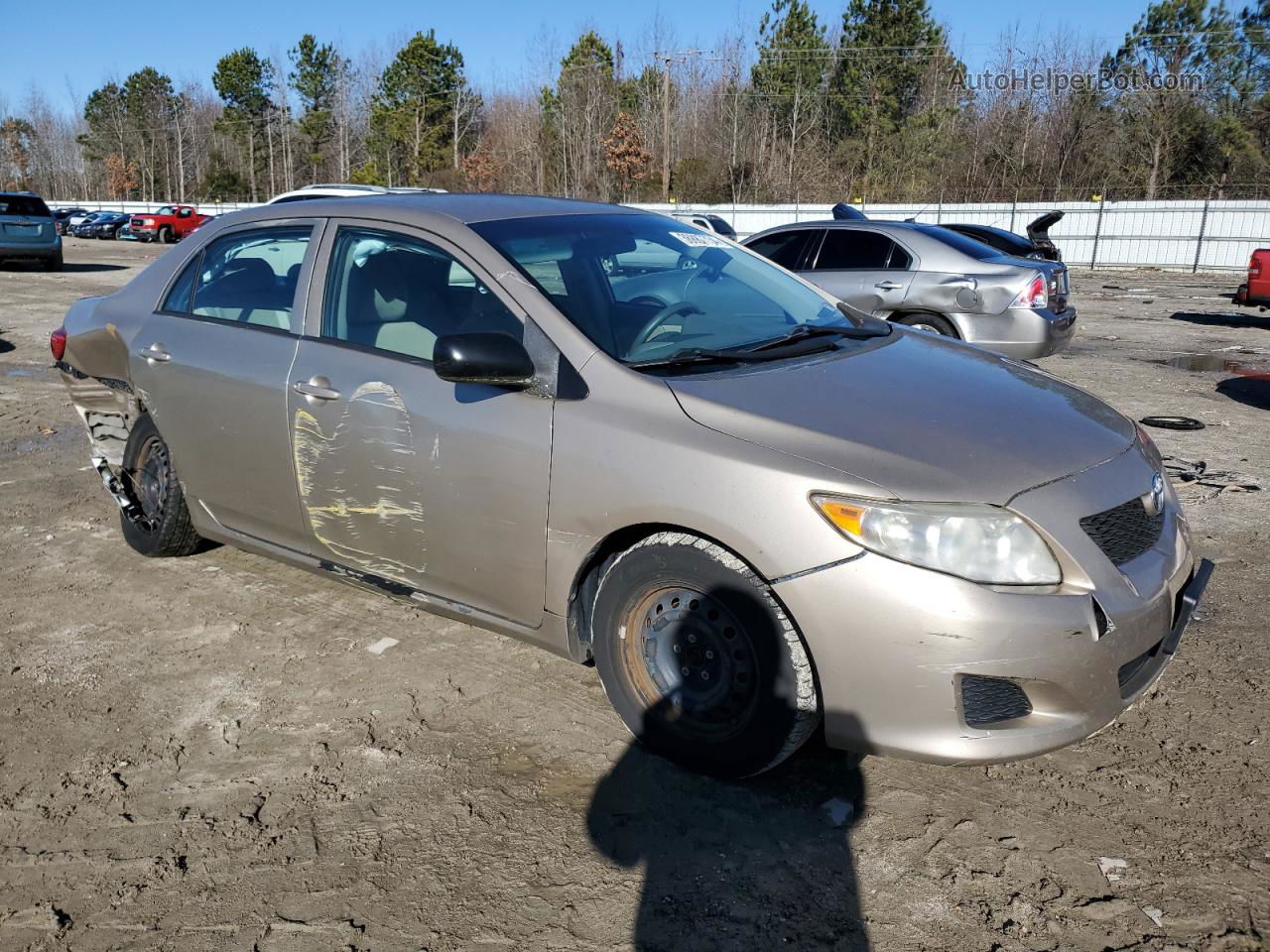 2010 Toyota Corolla Base Золотой vin: 2T1BU4EEXAC356259