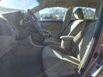 2010 Toyota Corolla Base Золотой vin: 2T1BU4EEXAC356259