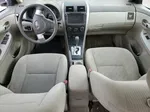 2010 Toyota Corolla Base Белый vin: 2T1BU4EEXAC388919