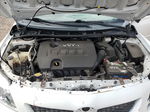 2010 Toyota Corolla Base Белый vin: 2T1BU4EEXAC388919