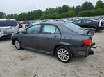 2010 Toyota Corolla Base Charcoal vin: 2T1BU4EEXAC481536