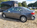 2010 Toyota Corolla Base Gray vin: 2T1BU4EEXAC491712