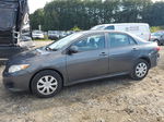 2010 Toyota Corolla Base Gray vin: 2T1BU4EEXAC491712