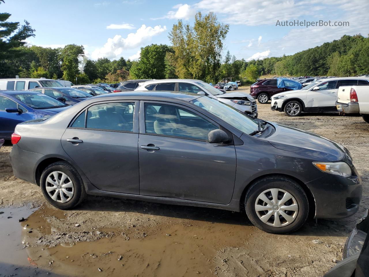 2010 Toyota Corolla Base Gray vin: 2T1BU4EEXAC491712