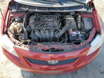 2010 Toyota Corolla Base Red vin: 2T1BU4EEXAC507648