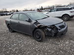 2010 Toyota Corolla Base Charcoal vin: 2T1BU4EEXAC514499