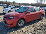 2019 Toyota Corolla L Красный vin: 2T1BURHE0KC131956