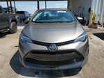 2019 Toyota Corolla L Tan vin: 2T1BURHE0KC240918