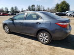 2014 Toyota Corolla L Gray vin: 2T1BURHE1EC023348