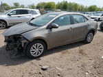 2019 Toyota Corolla L Gray vin: 2T1BURHE1KC176078