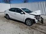 2019 Toyota Corolla L White vin: 2T1BURHE1KC203294