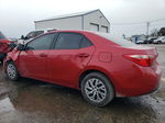 2019 Toyota Corolla L Red vin: 2T1BURHE1KC234870