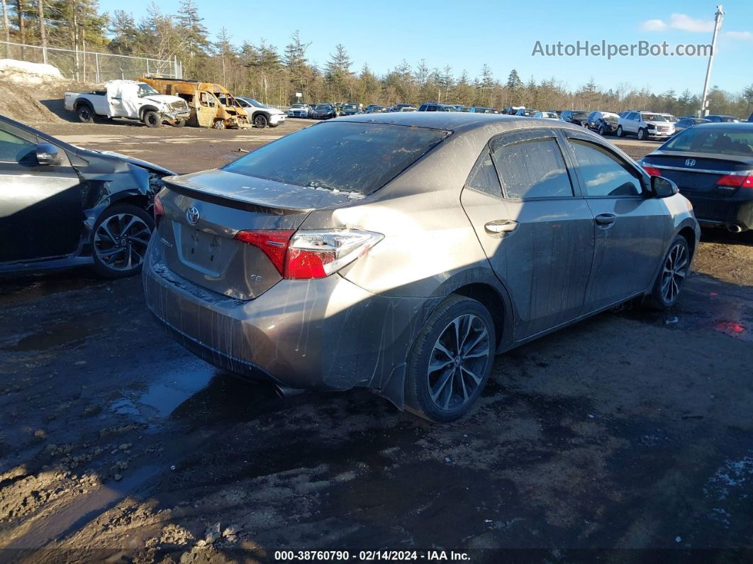 2019 Toyota Corolla Se Gray vin: 2T1BURHE3KC160285