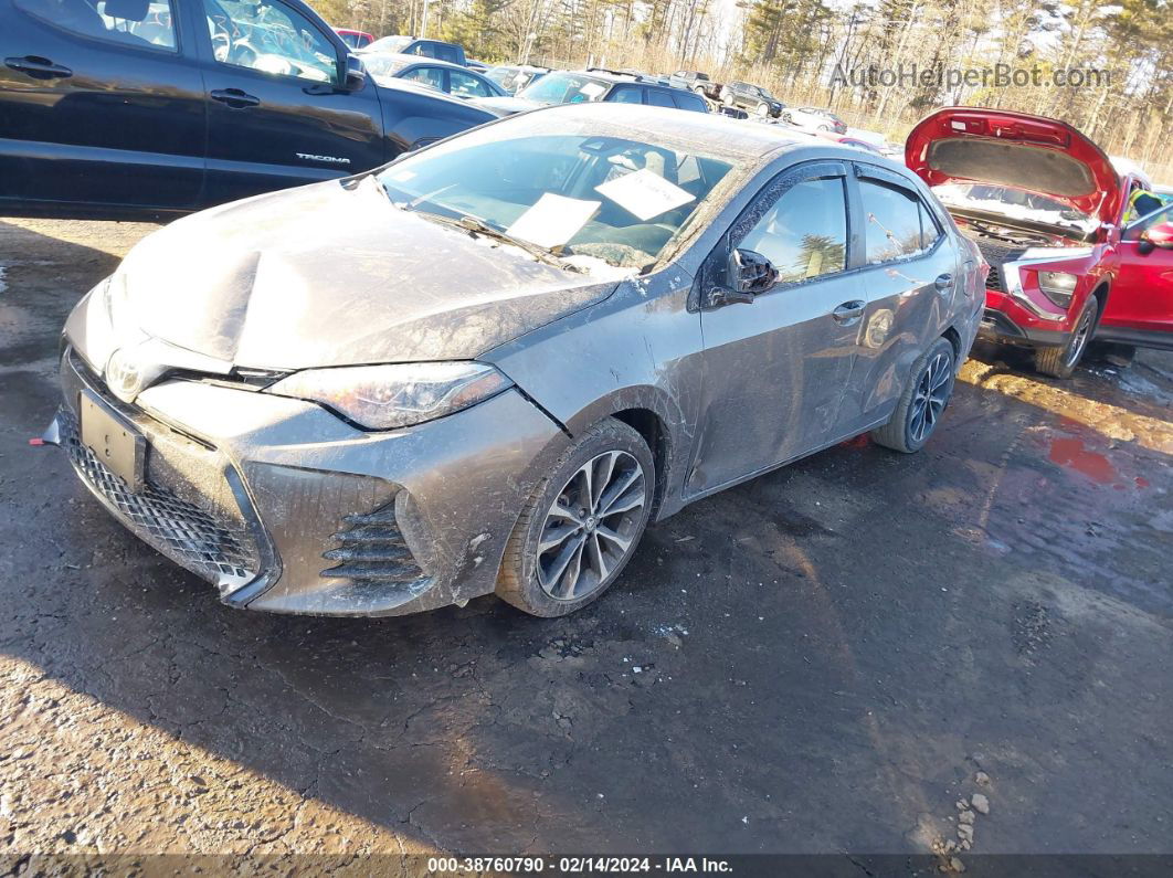 2019 Toyota Corolla Se Серый vin: 2T1BURHE3KC160285