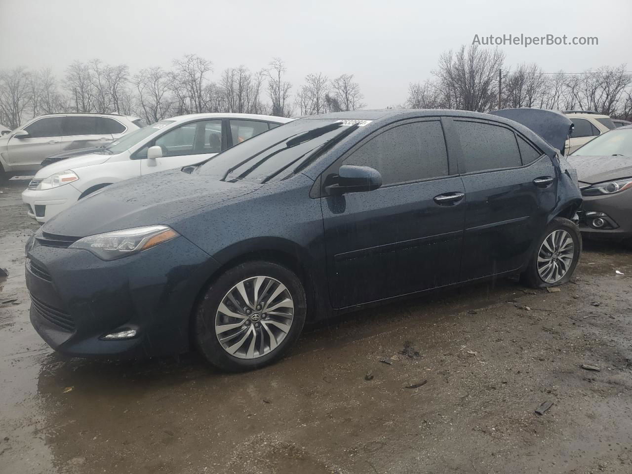 2019 Toyota Corolla L Blue vin: 2T1BURHE3KC174932