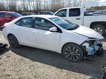 2019 Toyota Corolla L White vin: 2T1BURHE3KC181055