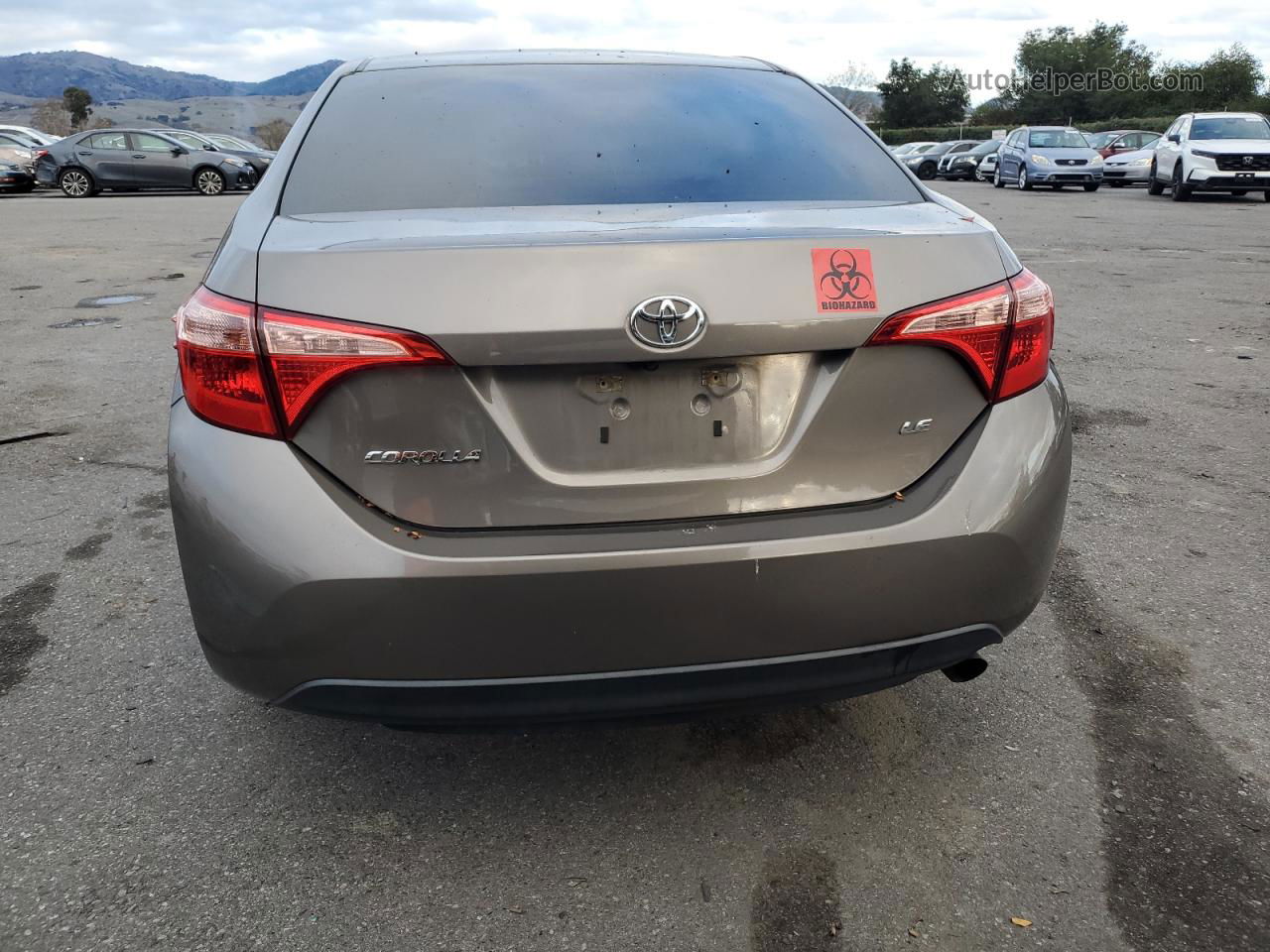 2019 Toyota Corolla L Brown vin: 2T1BURHE3KC230447