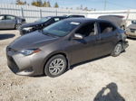 2017 Toyota Corolla L Золотой vin: 2T1BURHE4HC912357