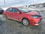 2019 Toyota Corolla L Red vin: 2T1BURHE4KC245412