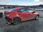 2019 Toyota Corolla L Red vin: 2T1BURHE4KC245412