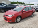 2015 Toyota Corolla L Красный vin: 2T1BURHE5FC316915