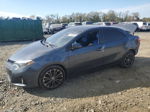 2016 Toyota Corolla L Серый vin: 2T1BURHE6GC683405