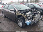 2019 Toyota Corolla Le Gray vin: 2T1BURHE6KC200729