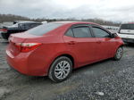 2019 Toyota Corolla L Red vin: 2T1BURHE6KC222360