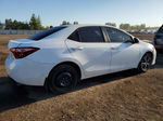 2019 Toyota Corolla L White vin: 2T1BURHEXKC233698