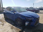 2024 Lexus Nx 350 Base Blue vin: 2T2AGCEZ9RC048779